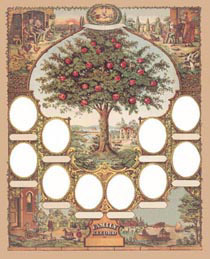 1888 family tree